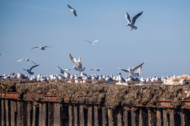 Similar image 12996659