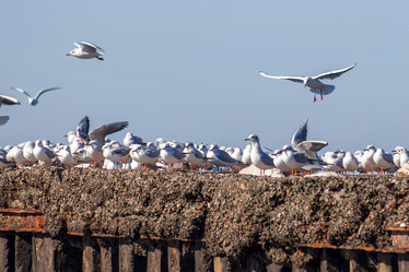 Similar image 12996660