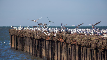 Similar image 12996661