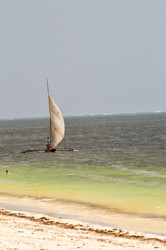 Similar image 12978103