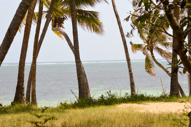 Similar image 12978063