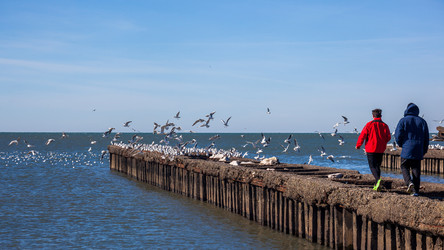 Similar image 12996705