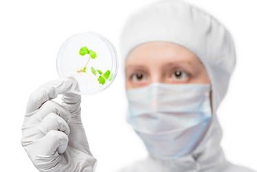 Similar image 12692852