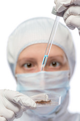 Similar image 12979978