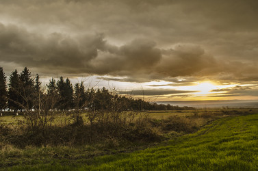 Similar image 12689821