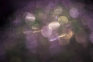 Similar image 12693792