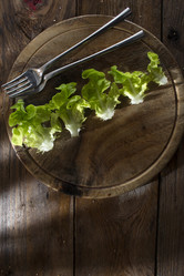 Similar image 12692568