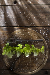 Similar image 12692572