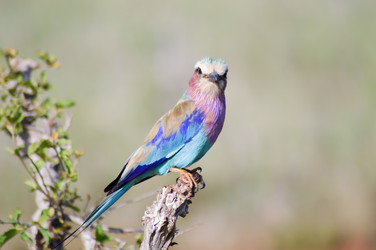 Similar image 12992167