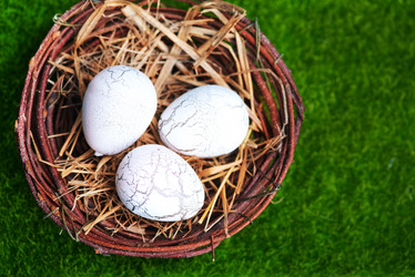 Similar image 12990583