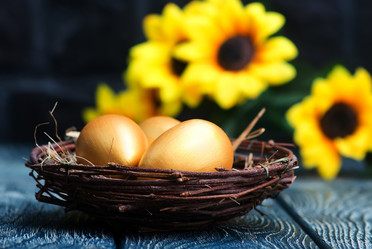 Similar image 12990651