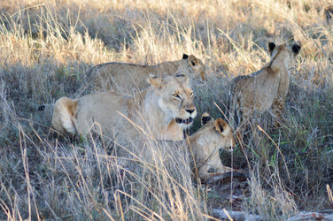 Similar image 12992169