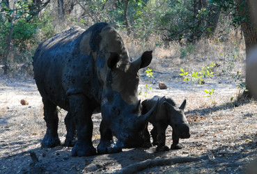 Similar image 12690328