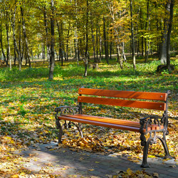 Similar image 12985180