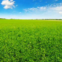 Similar image 12985133