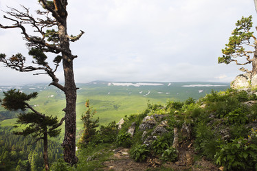 Similar image 12989595