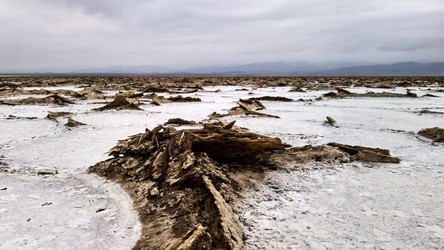 Similar image 12694228