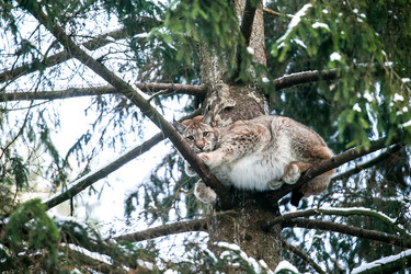 Similar image 12692129