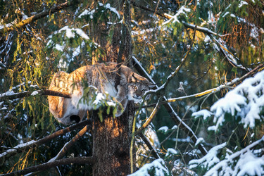 Similar image 12692135