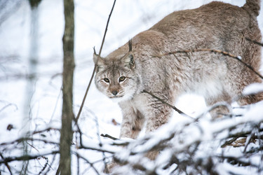 Similar image 12692137