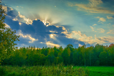 Similar image 12988769