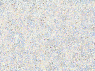 Similar image 12987158