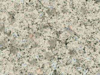 Similar image 12987216