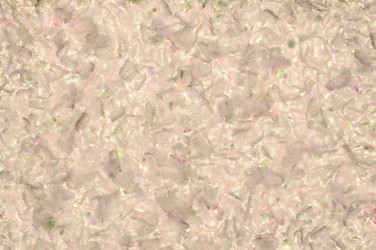 Similar image 12987219