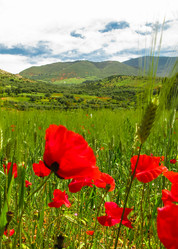 Similar image 12694229