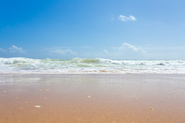 Similar image 12981280