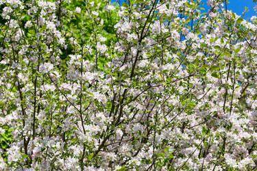 Similar image 12982093