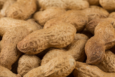 Similar image 12982112