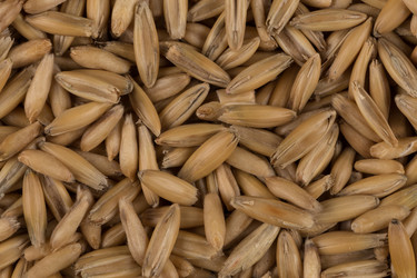 Similar image 12982152