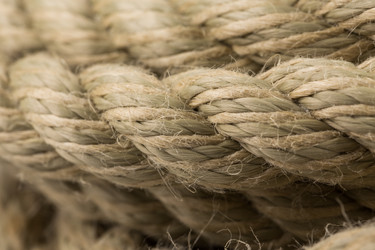 Similar image 12982172