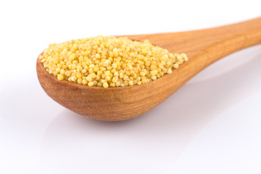 Similar image 12982193