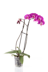 Similar image 12982290