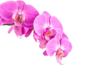 Similar image 12982292