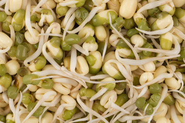 Similar image 12982450