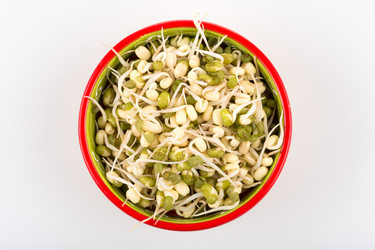 Similar image 12982468