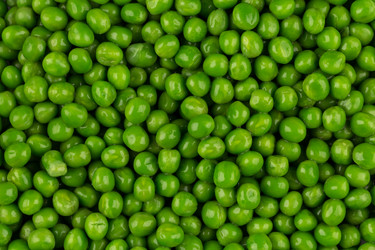 Similar image 12982469