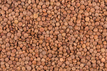 Similar image 12982778