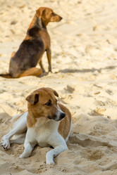 Similar image 12693027