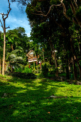 Similar image 12976396