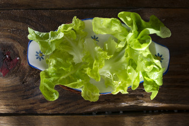 Similar image 12692555