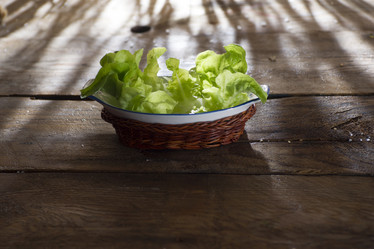 Similar image 12692557