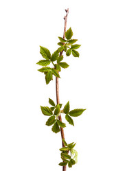 Similar image 12996762