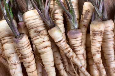 Similar image 12996764