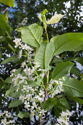 Similar image 12996766