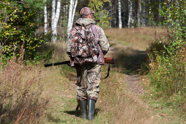 Similar image 12996768