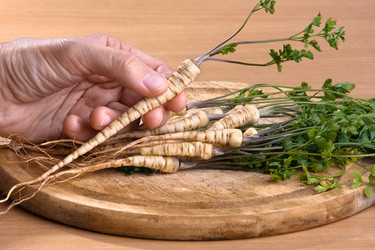 Similar image 12996771